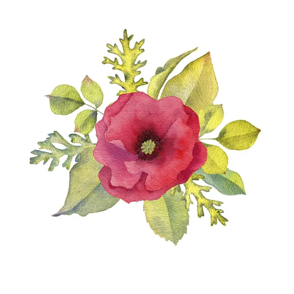 Aquarelle dessin fleurs — Photo