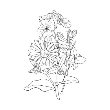 vektör çizim çiçek ile arka plan