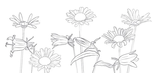 Διάνυσμα σχεδίασης λουλούδια Μαργαρίτα — Διανυσματικό Αρχείο