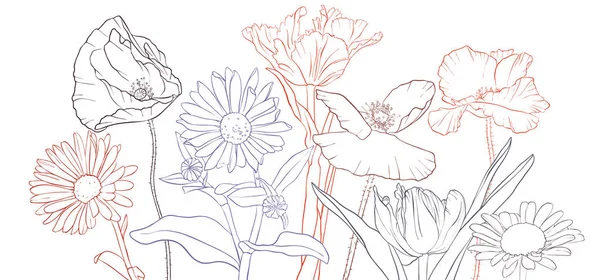 Vektor Zeichnung Mohnblumen — Stockvektor