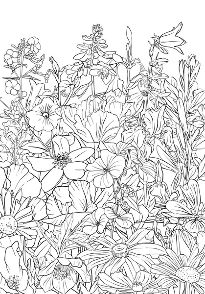 Sfondo disegno vettoriale con fiori — Vettoriale Stock