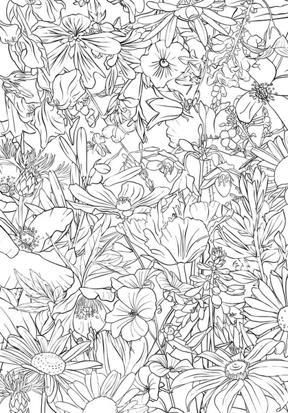 ベクターの花と背景を描画 — ストックベクタ