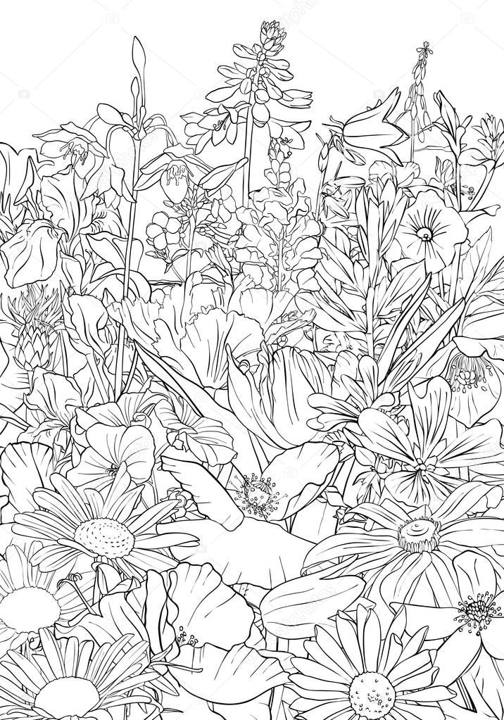 vector drawing background with flowers