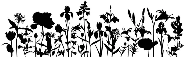 Vector dibujo amapola flores — Archivo Imágenes Vectoriales