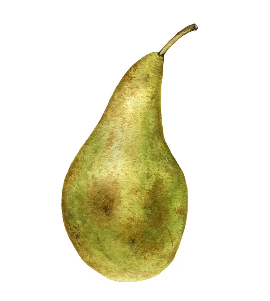 Akvarell ritning gröna päron — Stockfoto