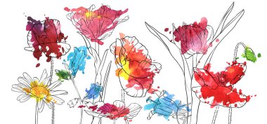 haşhaş çiçek çizim vektör