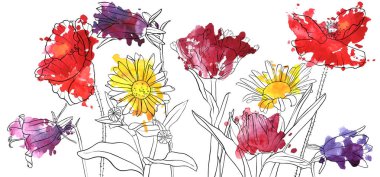 haşhaş çiçek çizim vektör