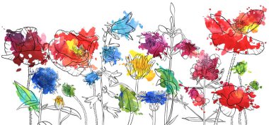 haşhaş çiçek çizim vektör