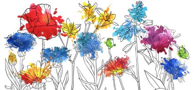 haşhaş çiçek çizim vektör