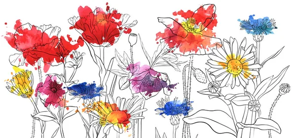 Векторний малюнок макових квітів — стоковий вектор