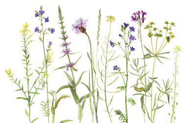 arka plan suluboya çiçekli