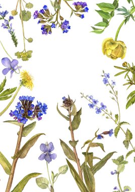 arka plan suluboya çiçekli