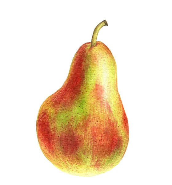 Akvarell ritning gröna päron — Stockfoto