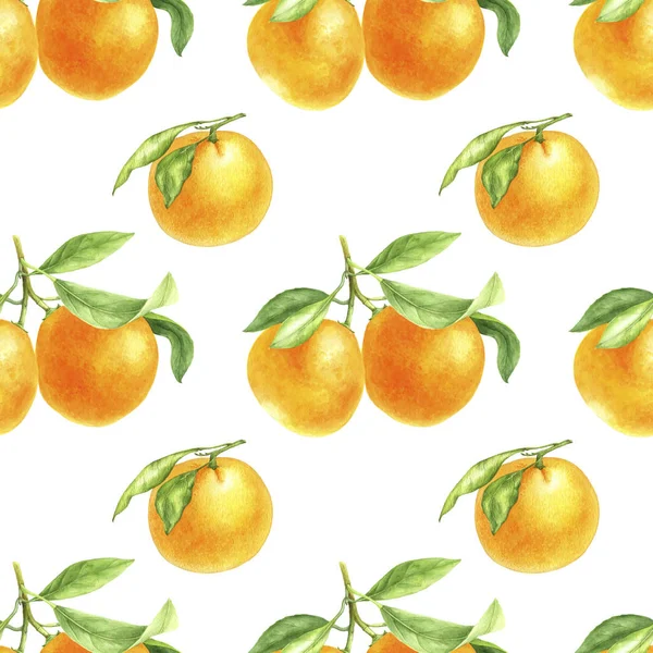 Gambar jeruk tangerine dalam cat air — Stok Foto