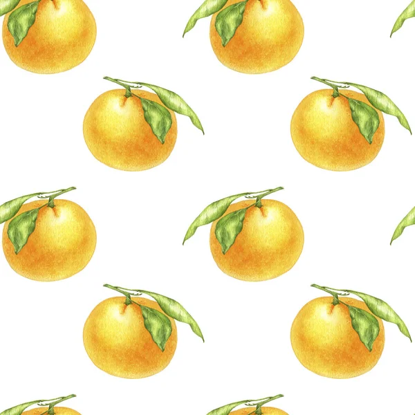 Gambar jeruk tangerine dalam cat air — Stok Foto