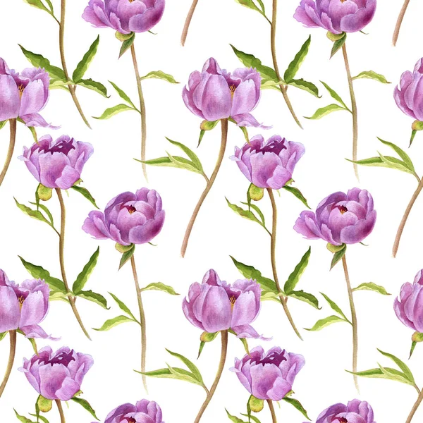 ピンク牡丹の花でシームレスなパターン — ストック写真