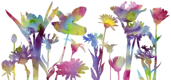 Silhuetas aquarela de flores silvestres — Fotografia de Stock