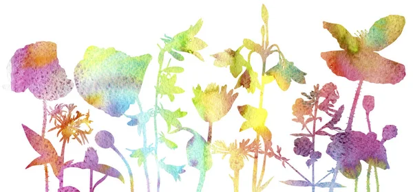 Aquarel silhouetten van wilde bloemen — Stockfoto