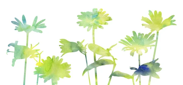 Aquarel silhouetten van wilde bloemen — Stockfoto