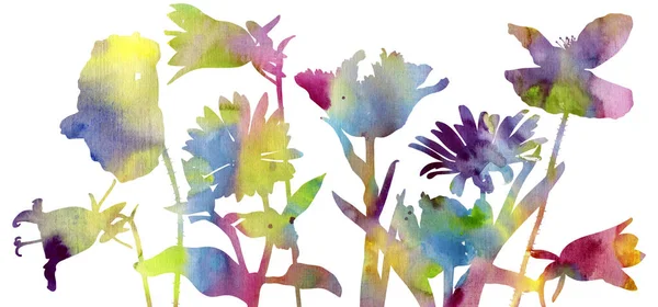 Aquarel silhouetten van wilde bloemen — Stockfoto