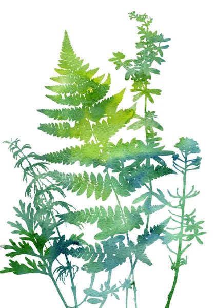 Tempalte mit Blättern und Pflanzensilhouetten — Stockfoto