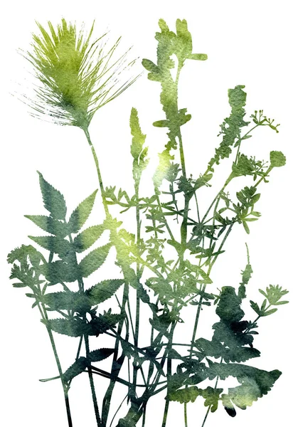 Yaprak ve bitki siluetleri ile şablonu — Stok fotoğraf