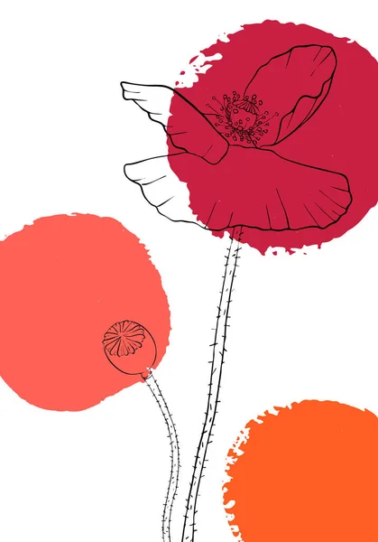 Vector drawing poppy flowers — Stock Vector