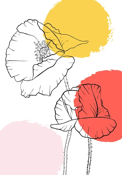 Vector dibujo amapola flores — Vector de stock