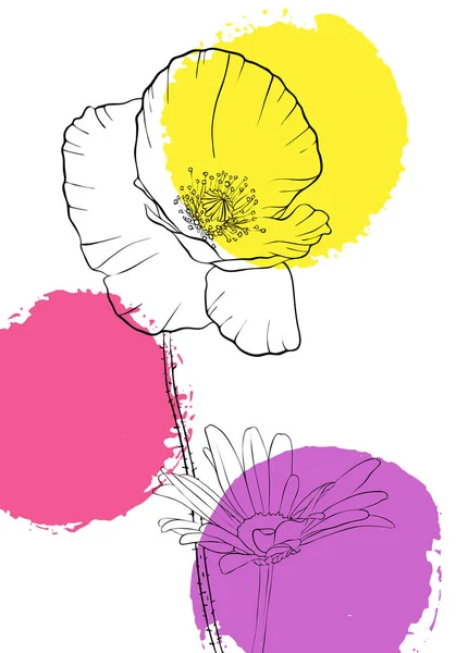 Векторний малюнок макових квітів — стоковий вектор