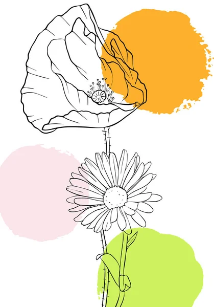 Vettoriale disegno papavero fiori — Vettoriale Stock