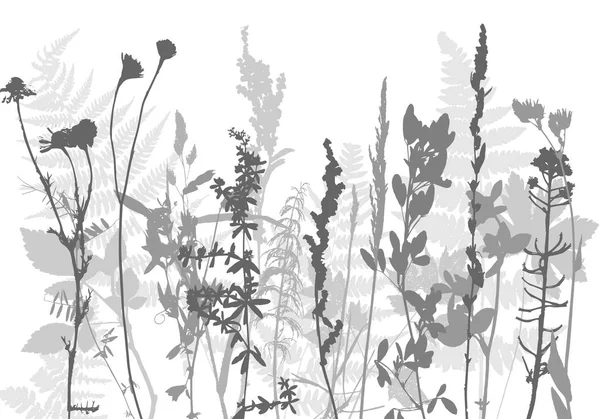 Tempalte aux feuilles et aux silhouettes végétales — Image vectorielle