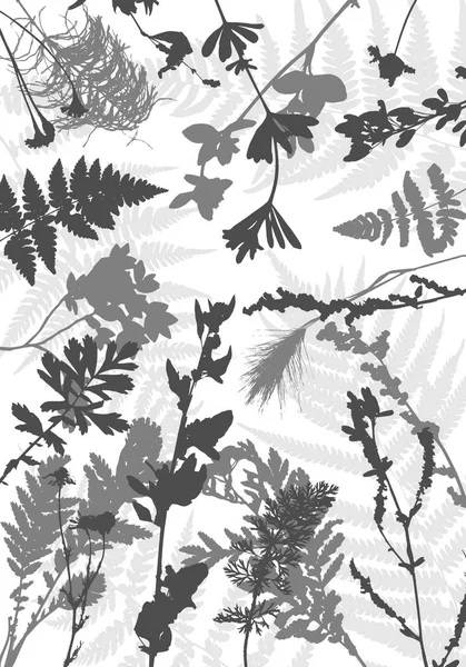 Tempalte με φύλλα και φυτά σιλουέτες — Διανυσματικό Αρχείο