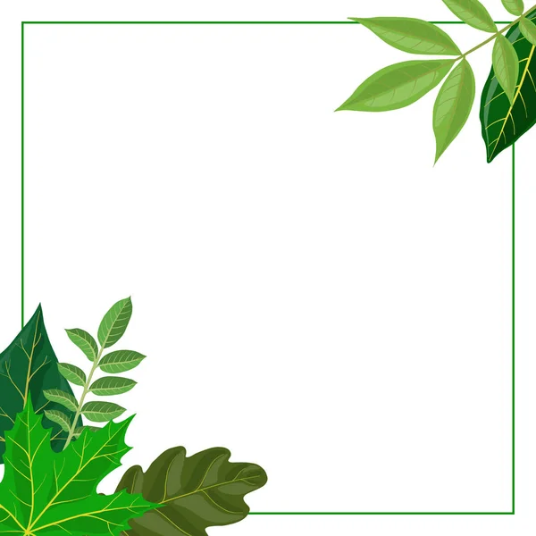 Διάνυσμα Floral Πρότυπο Πράσινα Φύλλα Χέρι Συρμένη Απεικόνιση — Διανυσματικό Αρχείο
