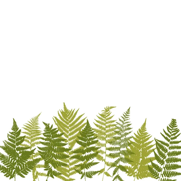 Arrière-plan avec dessin aux herbes et fleurs — Image vectorielle