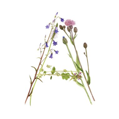 çiçek suluboya harf A