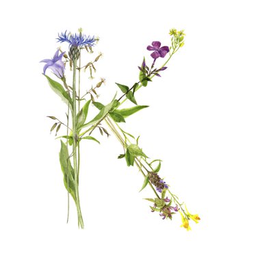 çiçek suluboya harf K