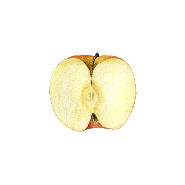 Akwarela rysunek jabłko — Zdjęcie stockowe