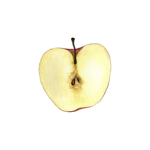 Dessin aquarelle pomme — Photo