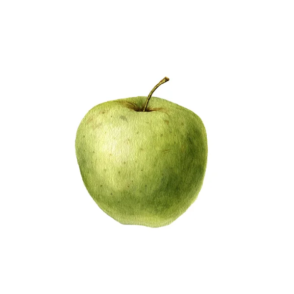 Acuarela dibujo manzana — Foto de Stock