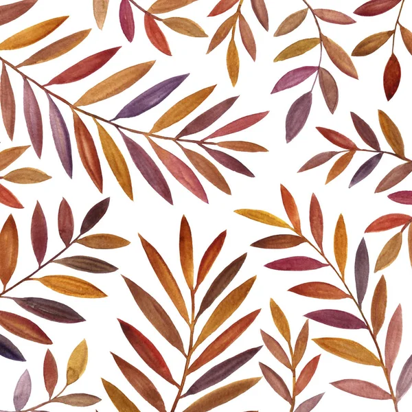 Sfondo con foglie di felce acquerello — Foto Stock