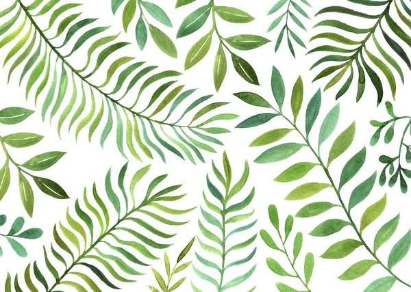 suluboya eğreltiotu yaprakları ile arka plan