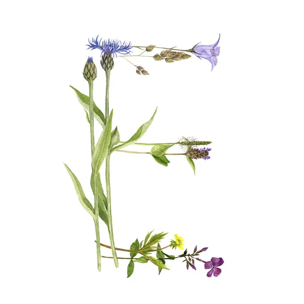 Çiçek suluboya harf E — Stok fotoğraf