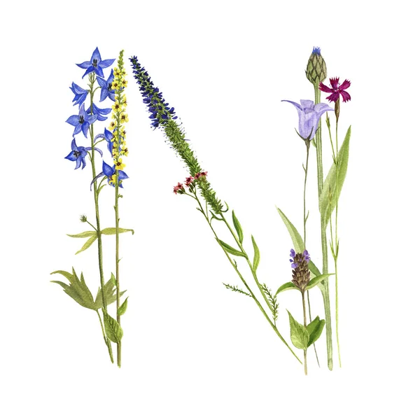 çiçek suluboya harf N