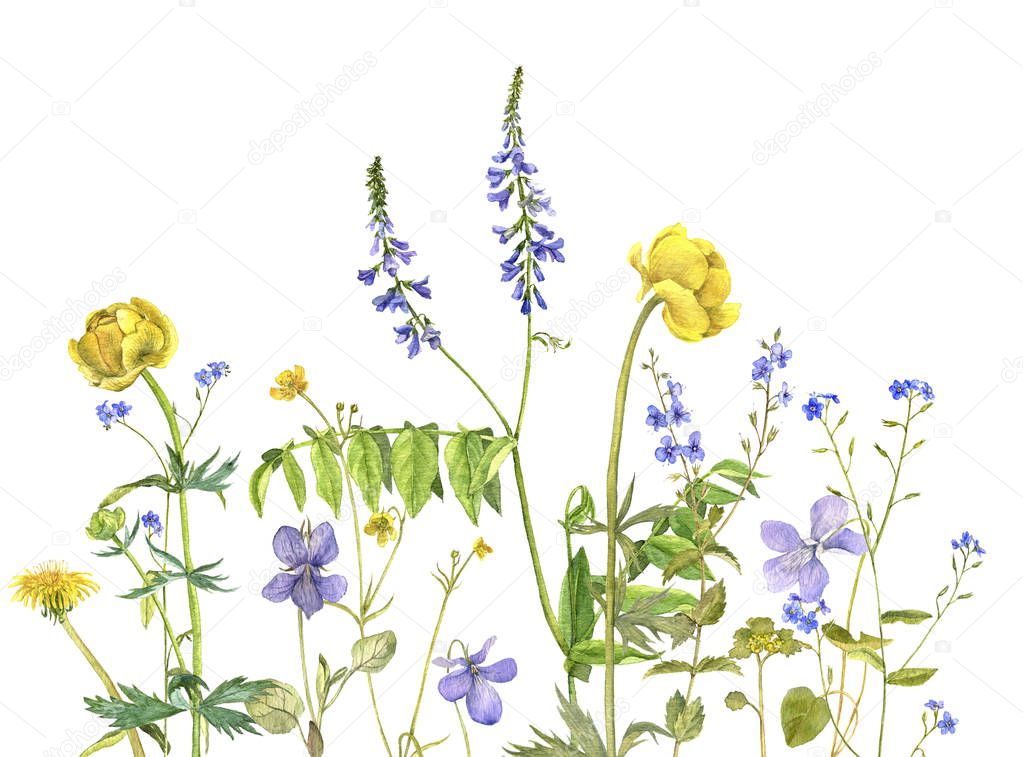 Background with watercolor flowers