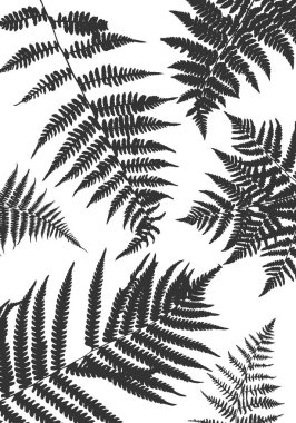 Eğreltiotu yaprakları ile arka plan