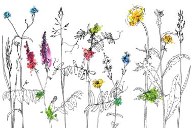 Mürekkep çizim otlar ve çiçek kümesi
