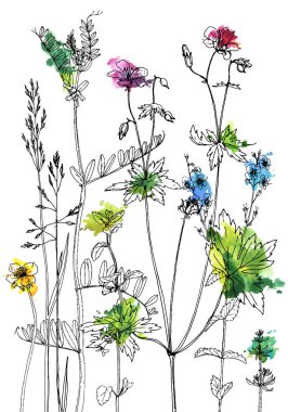 Mürekkep çizim otlar ve çiçek kümesi