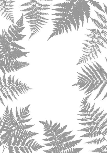 Background with fern leaves — Stock Vector