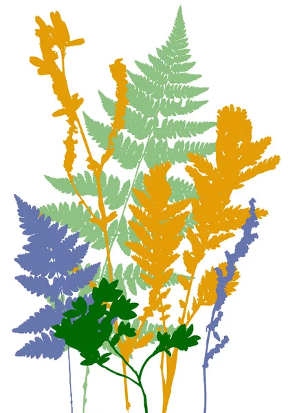 Tempalte aux feuilles et aux silhouettes végétales — Image vectorielle