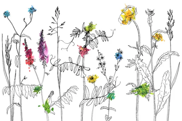 Mürekkep çizim otlar ve çiçek kümesi